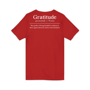 Grateful Everyday | V-Neck