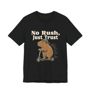 No Rush, Just Trust | Capybara t-shirt - Zenfull Heart self love and healing affirmation apparel