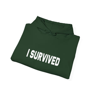 I Survived hoodie - Zenfull Heart self love and healing affirmation apparel