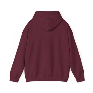 Kindness Matters | Hoodie