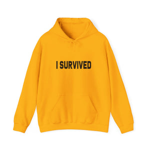 I Survived hoodie - Zenfull Heart self love and healing affirmation apparel