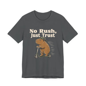 No Rush, Just Trust | Capybara t-shirt - Zenfull Heart self love and healing affirmation apparel