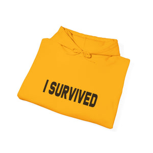 I Survived hoodie - Zenfull Heart self love and healing affirmation apparel